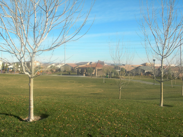 Ridgebrook Village